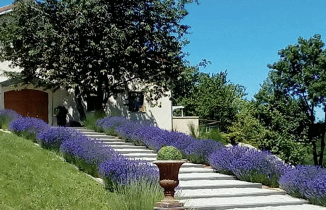 Le clos de la crinoline